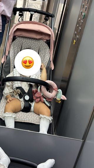 Bugaboo Dragonfly Gris Capota Rosa de verano 