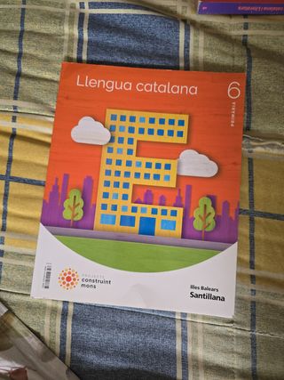 LLENGUA 6 PRIMARIA CONSTRUINT MONS