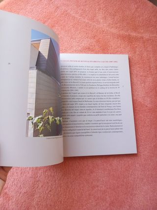 Mig Segle d'Arquitectura (Vicent M. Vidal i Vidal)