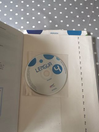 Lengua 4