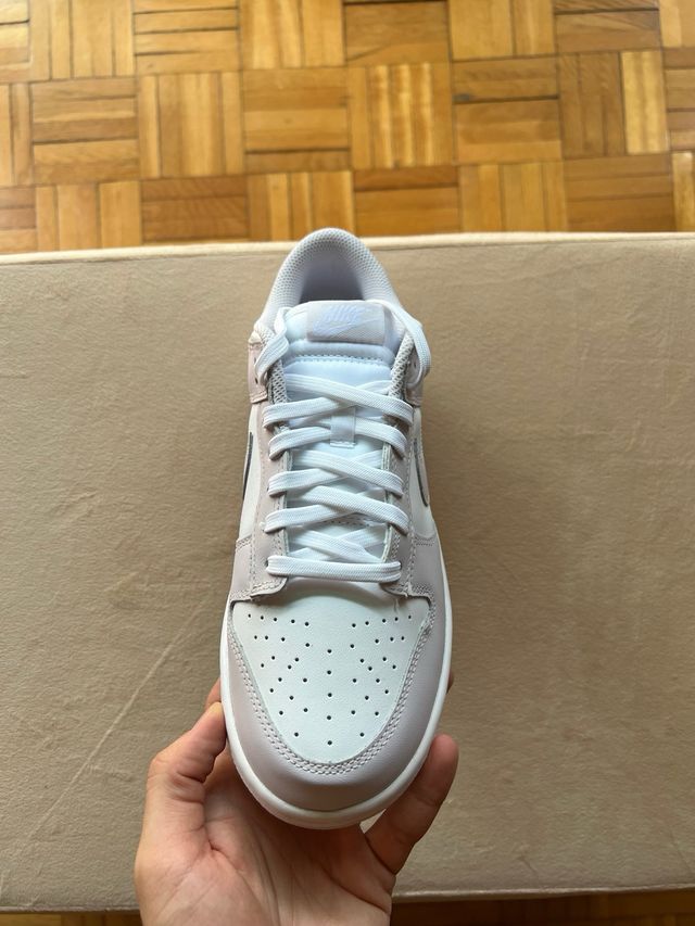 Zapatillas Nike Dunk Low Retro Venice (2021)