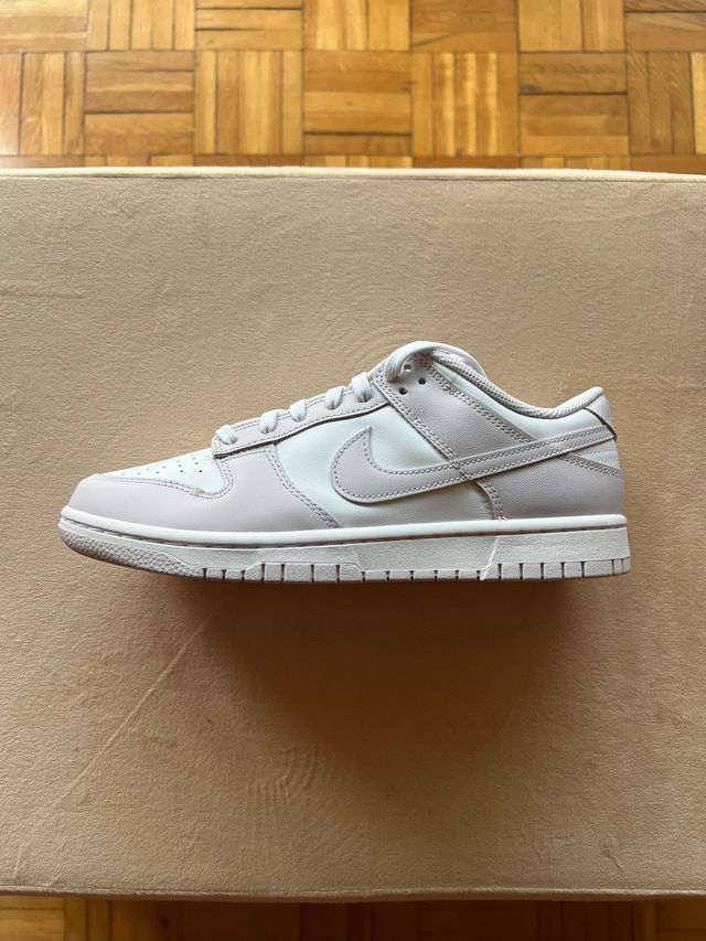 Zapatillas Nike Dunk Low Retro Venice (2021)