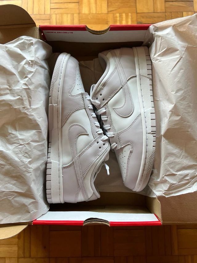 Zapatillas Nike Dunk Low Retro Venice (2021)