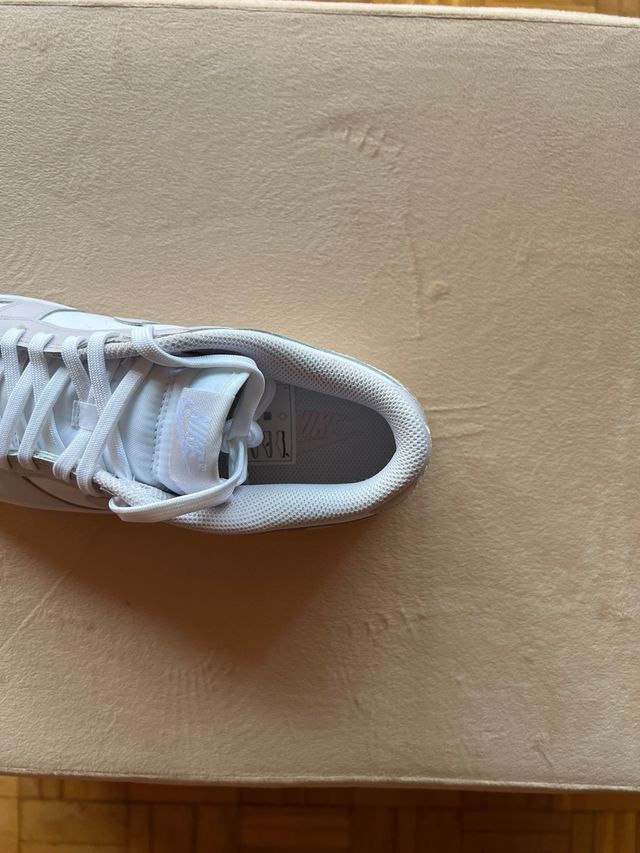 Zapatillas Nike Dunk Low Retro Venice (2021)