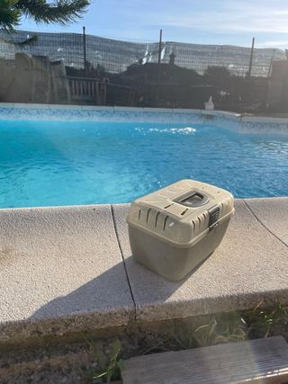 Transportín aves - Beige Transparente