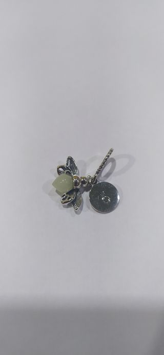 Charm de plata