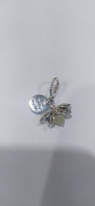 Charm de plata