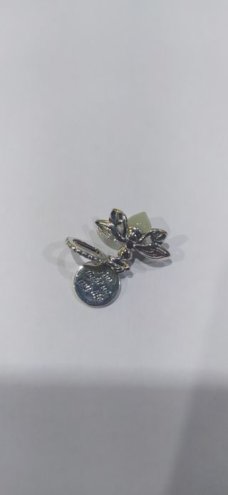 Charm de plata