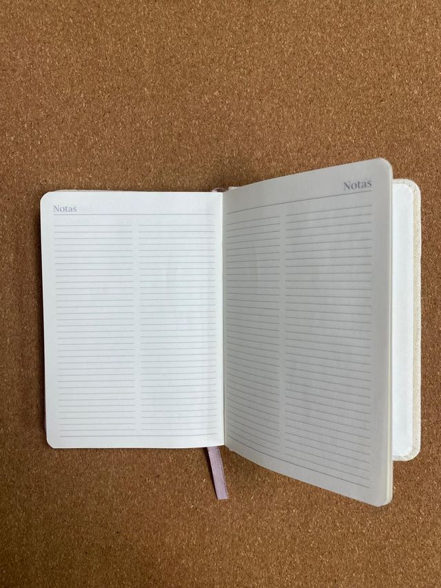 Agenda 2025 día vista A6 - Regalo