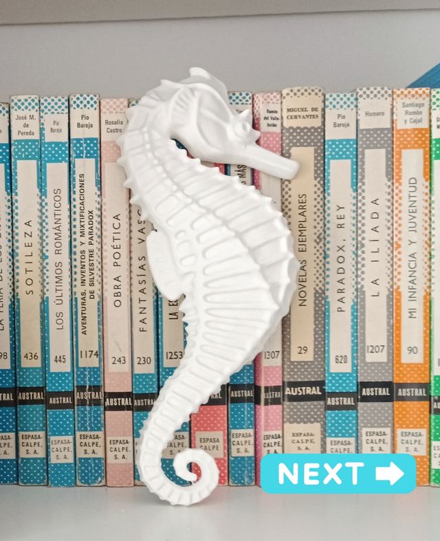 Caballito de mar decorativo