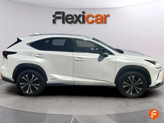 Lexus NX 2.5 300h Business 2WD