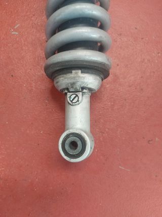Amortiguador BMW R1200RT (06)