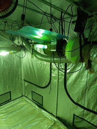 Armario cultivo interior DarkBox con todo completo