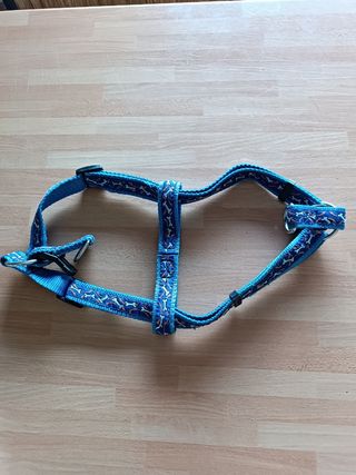 Pettorina per cani blu