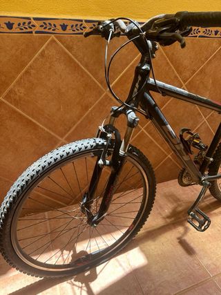 Bicicleta montaña adulto