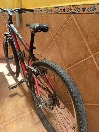 Bicicleta montaña adulto