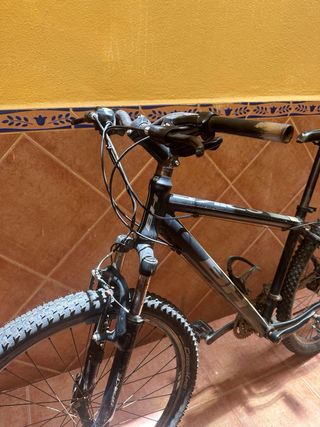 Bicicleta montaña adulto