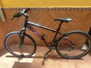 Bicicleta montaña adulto