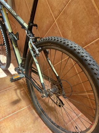 Bicicleta montaña adulto