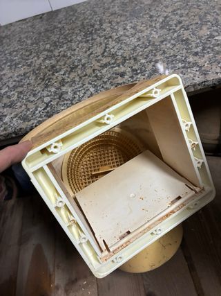 2 skimmers piscina 17000L beige