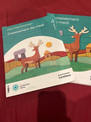 Matematiques 4 santilla por separado a 12