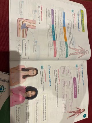 Matematiques 4 santilla por separado a 12