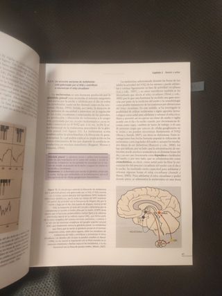 Psicología fisiológica (GRADO) (Spanish Edition)