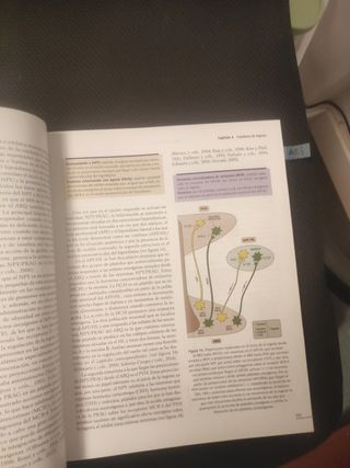 Psicología fisiológica (GRADO) (Spanish Edition)