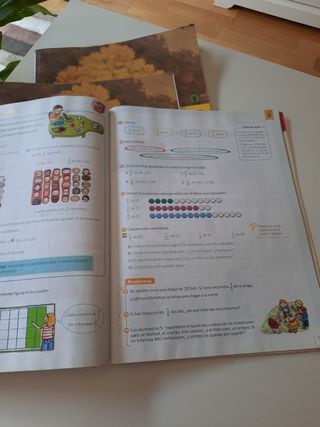 Matemáticas. 5 Primaria. Savia (Spanish Edition)