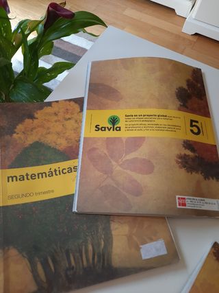 Matemáticas. 5 Primaria. Savia (Spanish Edition)