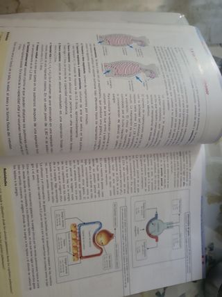 Anatomía aplicada