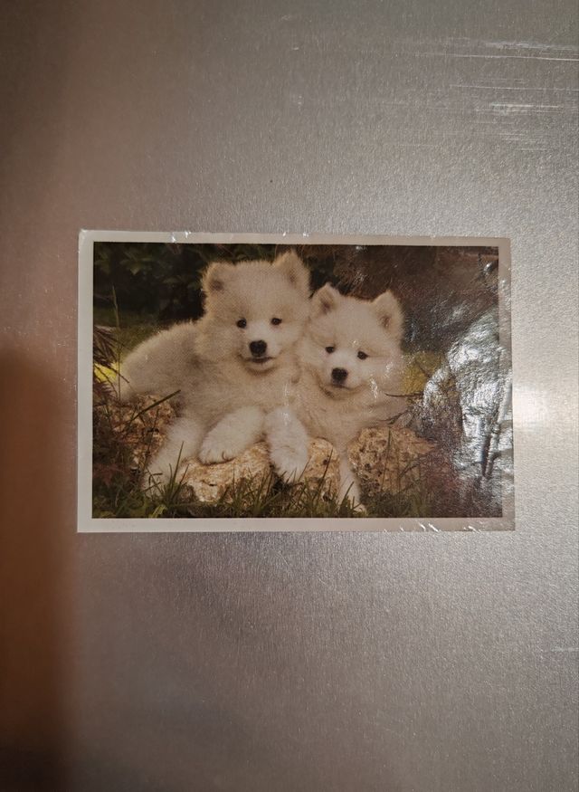 Amici Cucciolotti 161 - Figurine