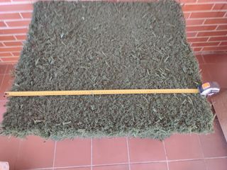 Caseta perro pequeña-mediana