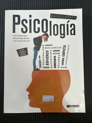 PSICOLOGIA 2ºBACH 23 FANFEST LABERINTO