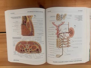Atlas de Anatomia Humana - 2 Edicion (Spanish E...