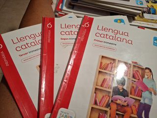 Llengua Catalana 6 de primaria