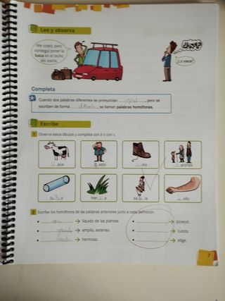 Cuaderno 6 de Ortografía (Lengua Primaria)