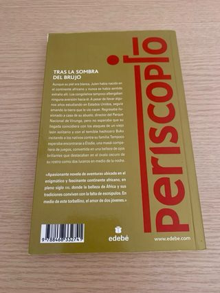 TRAS LA SOMBRA DEL BRUJO (Premio Edebé de Liter...