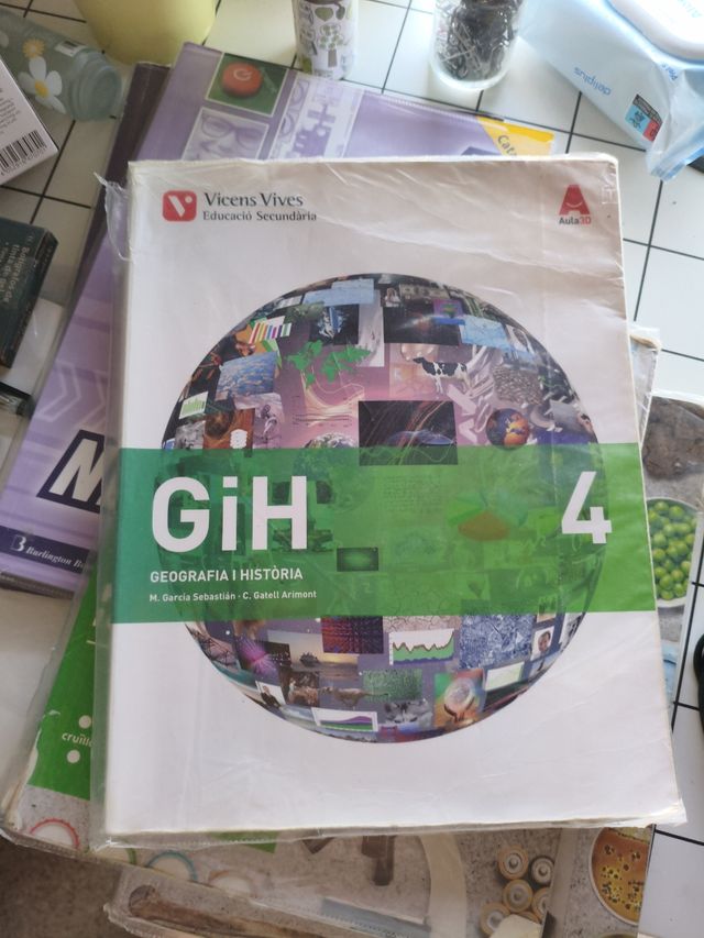 GIH 4 (HISTORIA) ESO AULA 3D