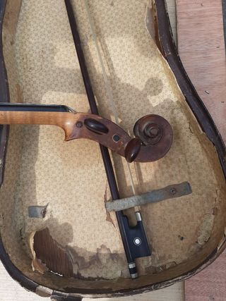 Violín Sternberg Armin