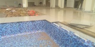 Profesional pintor y albañil