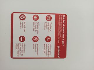 Calentador agua gas FE-200