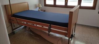 Cama articulada con carro eléctrico elevable. 