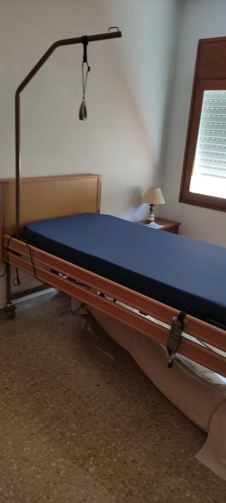 Cama articulada con carro eléctrico elevable. 