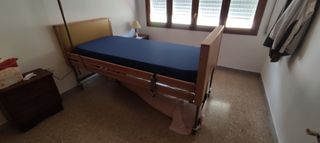 Cama articulada con carro eléctrico elevable. 