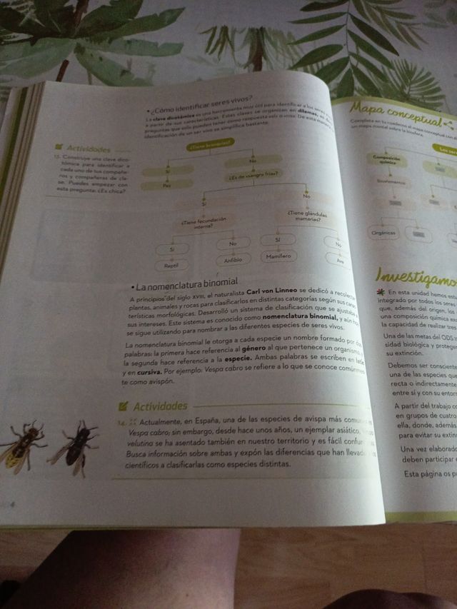 Biología y Geología 1.º ESO