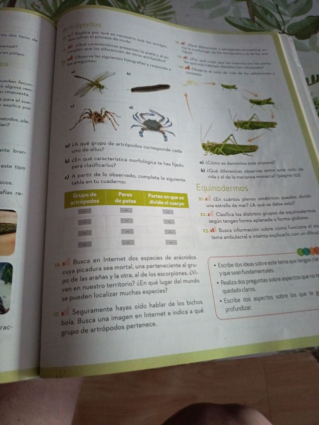 Biología y Geología 1.º ESO