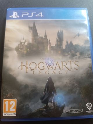 PS4 (PlayStation 4) Hogwarts Legacy