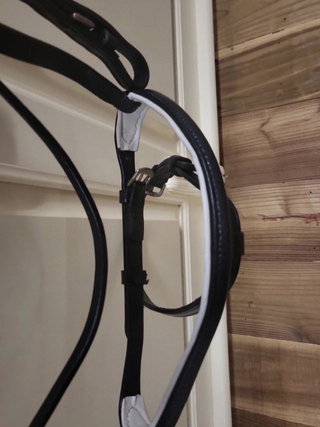 Cabezada doma cuero COB