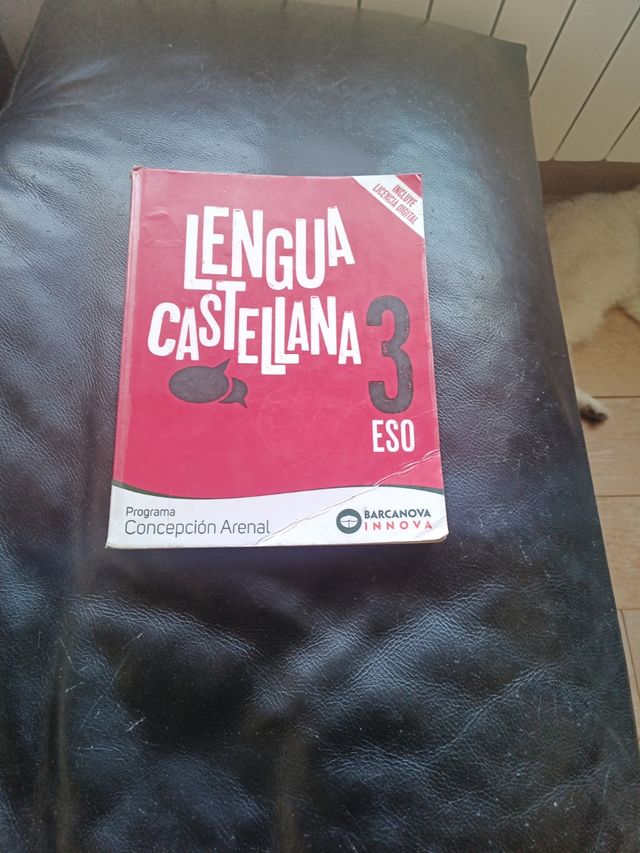 Concepción Arenal 3 ESO. Lengua castellana